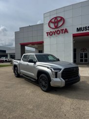 New 2025 Toyota Tundra SR5 image 1