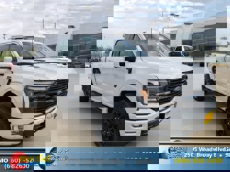 New 2025 Ford F150 Platinum image 1
