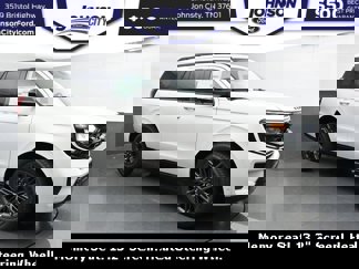 New 2025 Ford Expedition Platinum w/ Stealth Performance Package image 1