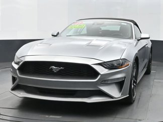 Used 2023 Ford Mustang Premium image 1