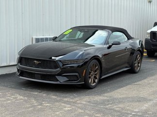 New 2025 Ford Mustang Premium image 1