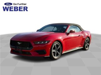Certified 2024 Ford Mustang Premium image 1