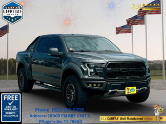 Used 2019 Ford F150 Raptor w/ Equipment Group 802A Luxury image 1