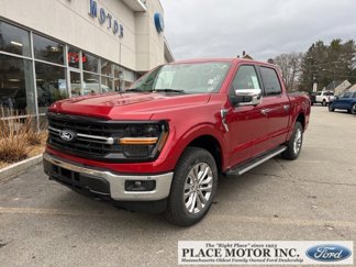 New 2025 Ford F150 XLT w/ Equipment Group 303A High image 1