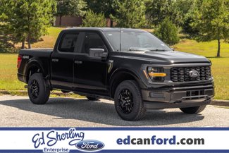 New 2025 Ford F150 STX image 1