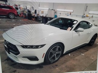 Used 2024 Ford Mustang Coupe image 1