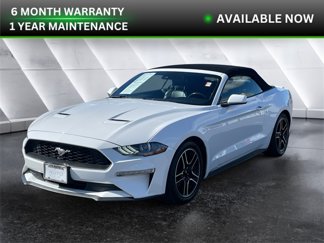 Used 2022 Ford Mustang Premium image 1