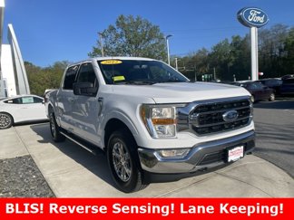 Certified 2022 Ford F150 XLT w/ Equipment Group 301A Mid image 1