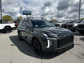 New 2025 Hyundai Palisade XRT image 1
