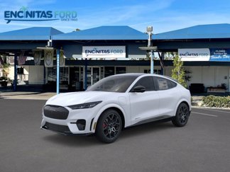 New 2025 Ford Mustang Mach-E GT w/ Interior Protection Package image 1