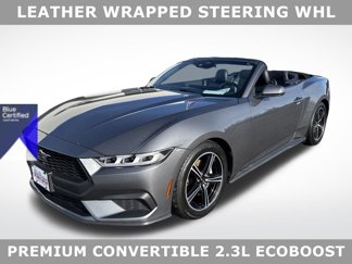 Certified 2024 Ford Mustang Premium image 1