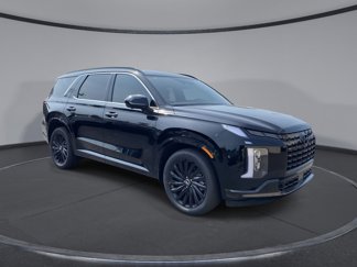 New 2025 Hyundai Palisade Calligraphy image 1