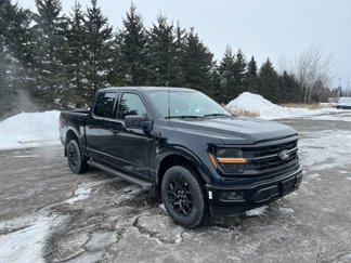 New 2025 Ford F150 XLT w/ Equipment Group 301A Standard image 1