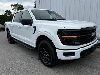 New 2025 Ford F150 XLT w/ Equipment Group 302A MID image 1