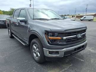 New 2025 Ford F150 XLT image 1