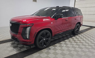 Used 2025 Cadillac Escalade Sport Platinum image 1