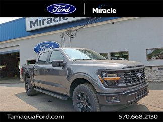 New 2025 Ford F150 STX image 1