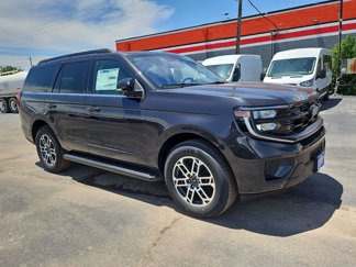 New 2025 Ford Expedition Active image 1