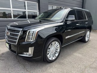 Used 2015 Cadillac Escalade Platinum image 1