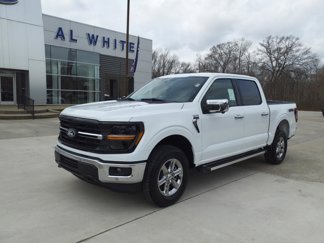 New 2025 Ford F150 XLT image 1