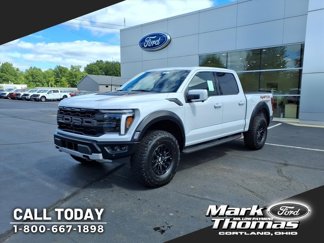 New 2025 Ford F150 Raptor image 1