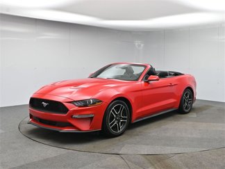 Used 2023 Ford Mustang Premium image 1