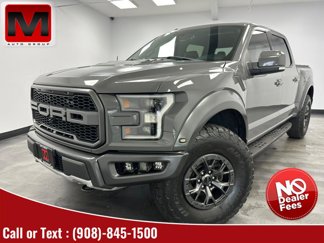 Used 2018 Ford F150 Raptor w/ Equipment Group 802A Luxury image 1