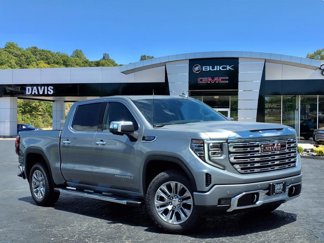 New 2025 GMC Sierra 1500 Denali image 1