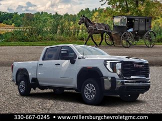 New 2025 GMC Sierra 2500 Pro image 1