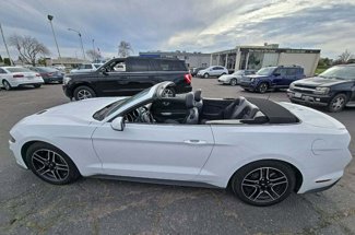 Used 2022 Ford Mustang Premium image 1
