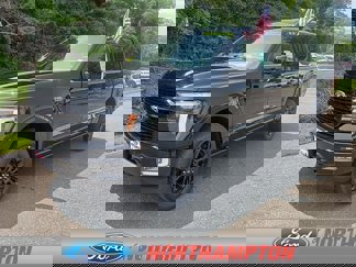 New 2025 Ford F150 Platinum image 1