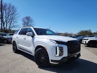 New 2025 Hyundai Palisade Calligraphy image 1