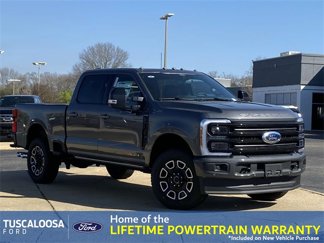 New 2025 Ford F250 Platinum image 1