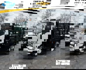 New 2025 Chevrolet Low Cab Forward image 1