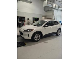Certified 2022 Ford Escape SE w/ Convenience Package image 1