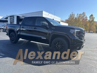 New 2025 GMC Sierra 1500 Elevation image 1