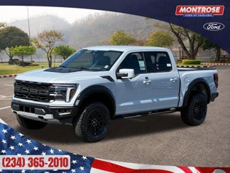 New 2025 Ford F150 Raptor image 1