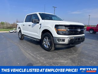 New 2025 Ford F150 XLT w/ Equipment Group 301A Standard image 1