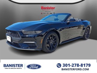 New 2025 Ford Mustang Convertible w/ Mustang Nite Pony Package image 1