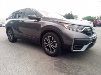 Certified 2022 Honda CR-V EX image 1
