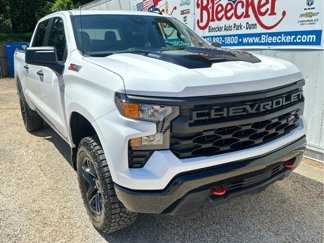 New 2025 Chevrolet Silverado 1500 Custom Trail Boss image 1