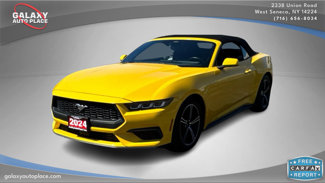 Used 2024 Ford Mustang Premium image 1