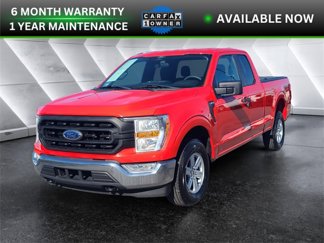 Used 2022 Ford F150 XL w/ Equipment Group 101A High image 1