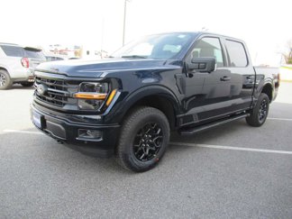 New 2025 Ford F150 XLT image 1