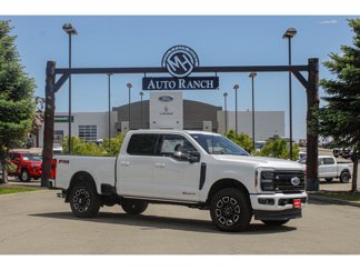 New 2025 Ford F250 Platinum image 1