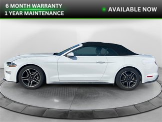 Used 2022 Ford Mustang Premium image 1