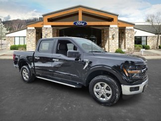 New 2025 Ford F150 XLT w/ Equipment Group 301A Standard image 1