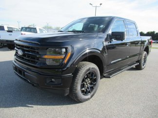New 2025 Ford F150 XLT image 1