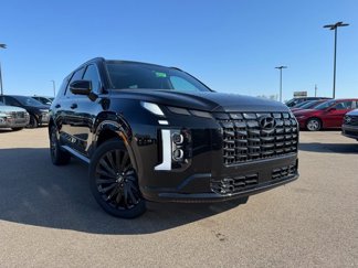 New 2025 Hyundai Palisade Calligraphy image 1