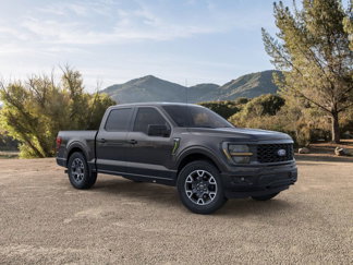 New 2025 Ford F150 STX w/ Equipment Group 200A image 1